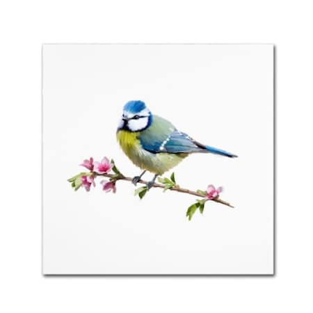 The Macneil Studio 'Bluetit' Canvas Art,18x18